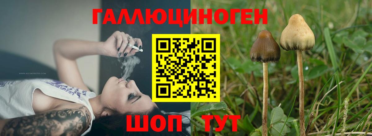 Галлюциногенные грибы Magic Shrooms Артёмовский